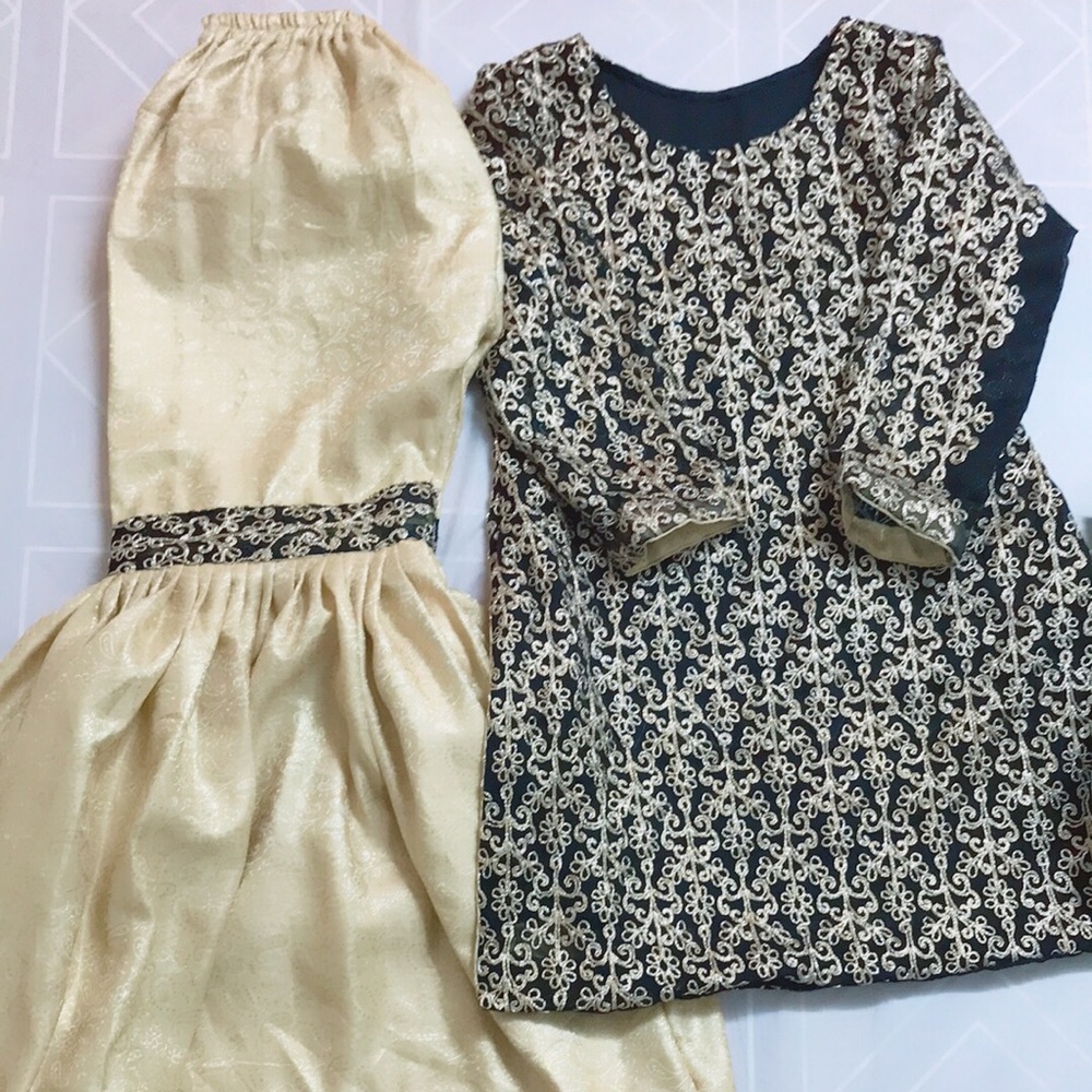 Pakistani Indian Woman party wear